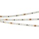 Лента светодиодная MICROLED-M120-4mm 24V Day5000 (5.4 W/m, IP20, 2216, 5m) (arlight, узкая)  024419(2)  Arlight