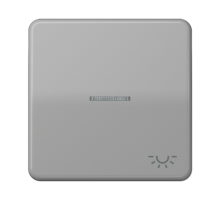 Клавиша с окошком и символом "освещение" для выключателей с подсветкой; серая  CD590KO5LGR  Jung