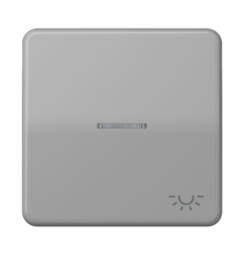 Клавиша с окошком и символом "освещение" для выключателей с подсветкой; серая  CD590KO5LGR  Jung