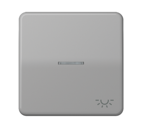 Клавиша с окошком и символом "освещение" для выключателей с подсветкой; серая  CD590KO5LGR  Jung