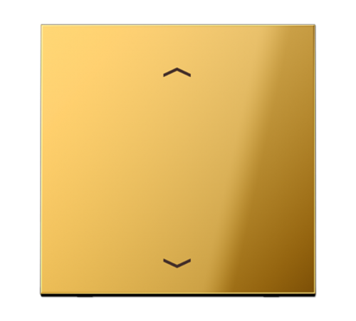 Центральная плата для вставок управления двигателями GO1700P Jung