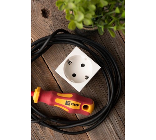 Розетка 45х45 (2 модуля), с заземлением, белая, прямая  E2MR16-028-10  EKF