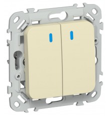 FLITE Выключатель 2-клавишный кнопочный с индикацией 10А ВС12-2-1-ФлН навахо  FI-V24-1-10-1-K87  IEK