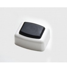 А1-03 Выключатель кнопочный, белый  А1-03  HEGEL