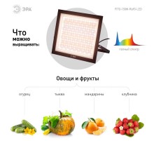 Фитопрожектор для растений светодиодный  FITO-150W-Ra90-LED полного спектра профессиональный 150 Вт  Б0059880  ЭРА