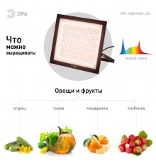 Фитопрожектор для растений светодиодный  FITO-150W-Ra90-LED полного спектра профессиональный 150 Вт  Б0059880  ЭРА