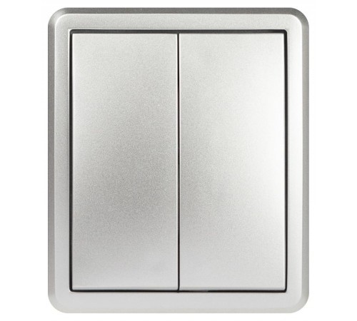 Выключатель ЭРА Эксперт 11-1204-03 двойной 10АХ-250В IP20 ОУ Алюминий  Б0063035  ЭРА