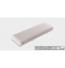 Световой указатель аварийного освещения люминесцентный PASSAT BS-1120-1x58 T8 58Вт централизованный накладной IP50  a14361  Белый свет