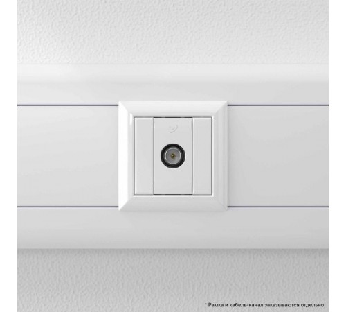 Розетка ТВ проходная "Белое облако" "Avanti", 1 мод  4400511  DKC