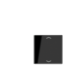 Клавиша для сенсорного модуля KNX, 4-ная, черная  LS404TSAPSW14  Jung