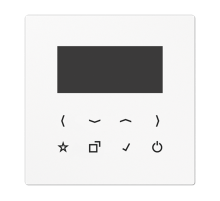 Дисплей DABLSBT-DISPWW Jung