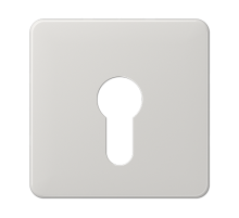 центральная плата для вставки с ключом CD525LG Jung