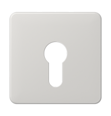 центральная плата для вставки с ключом CD525LG Jung