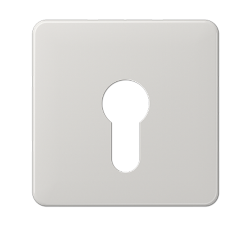 центральная плата для вставки с ключом CD525LG Jung