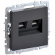 BRITE Розетка компьютерная 2-ая RJ45 кат.5E РК10-2-БрГ графит   BR-K20-1-K53  IEK