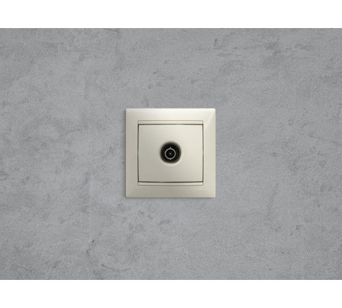 Valena Сл. кость Розетка TV единственная 1,5 дБ  774329  Legrand