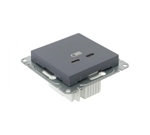 Механизм розетки USB-C - 2шт, графит Эпика  UP1-SOG-2USBC EKF