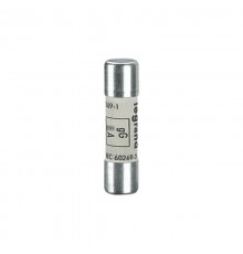 Предохранитель промышленный цилиндрический gG 10х38 2А 500В с индикатором  013402  Legrand