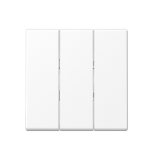 Клавиша для тройных выключателей; термопласт; белый матовый  A593BFWWM  Jung