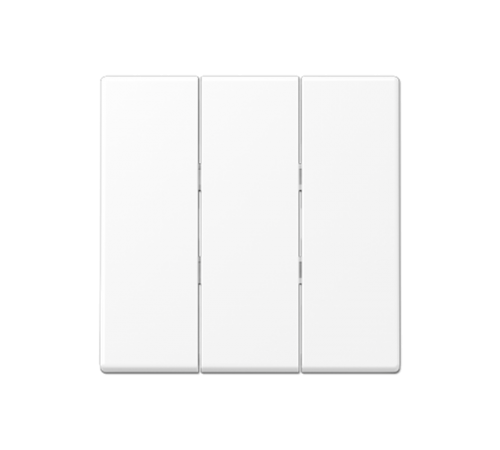 Клавиша для тройных выключателей; термопласт; белый матовый  A593BFWWM  Jung