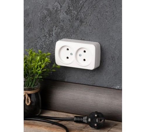 Минск Розетка 2-местная ОП 10А без заземления белая  EKF Basic  EGR10-102-10  EKF