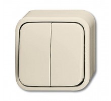 Выключатель 2-клавишный, с подсветкой, для открытого монтажа, IP44, серия Busch-Duro 2000 AP, цвет слоновая кость  1042-0-0670  2CKA001042A0670  A