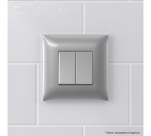 Кнопка двухклавишная в стену, "Avanti", "Закаленная сталь"  4404154  DKC