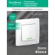 Blanca Белый С/У Выключатель 1-клавишный с подсветкой, 6А, 250B  BLNVS006111  SE