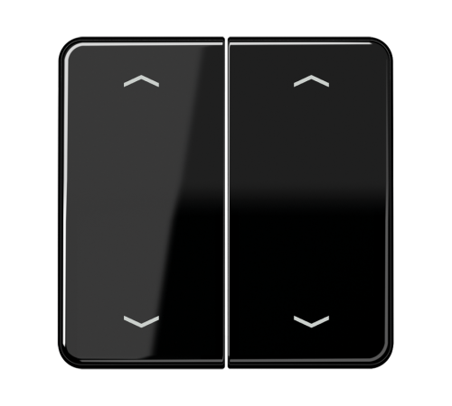 Клавиши для сдвоенной кнопки BCU; черные CD595MPSW Jung