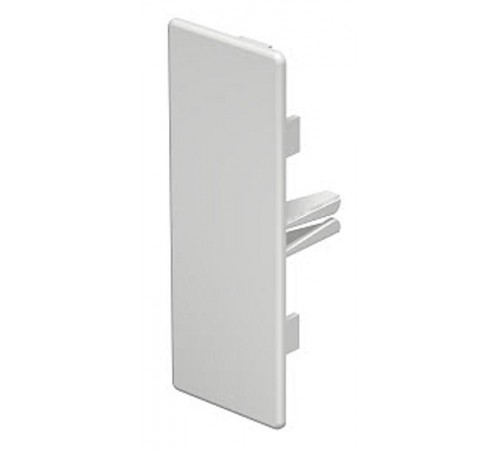 Торцевая заглушка кабельного канала WDK 40x110 мм (ПВХ,белый) (WDK HE40110RW)  6193242  OBO Bettermann
