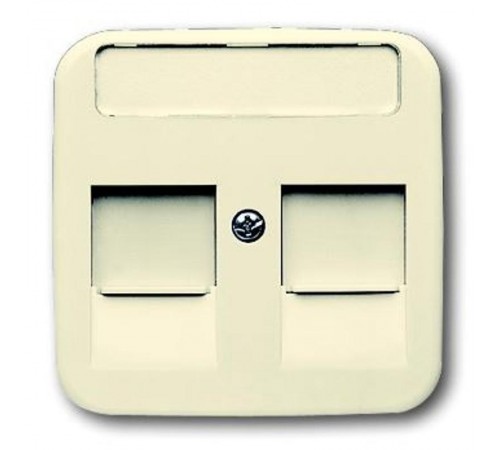 Плата центр. (накладка) для розеток с супп. 1810, 1812, 1814, 1816 и 1818, с полем для надписи, серия Busch-Duro  1753-0-9975   2CKA001753A9975  AB