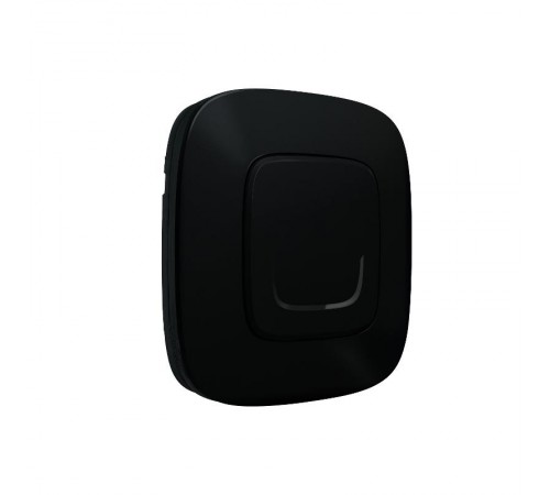 Выключатель Умный беспроводной 1-кл. Valena Allure антрацит Netatmo  752885  Legrand