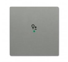 Клавиша одинарная free@home, светорегулятор, future, цвет meteor/серый металлик6220-0-0554 ABB
