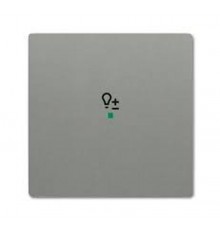 Клавиша одинарная free@home, светорегулятор, future, цвет meteor/серый металлик6220-0-0554 ABB