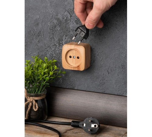 Розетка 1-местная ОП Минск 10А без заземления светлое дерево EKF  EGR10-022-30  EKF