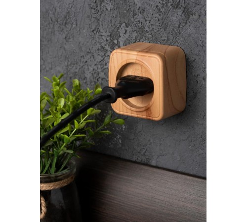 Розетка 1-местная ОП Минск 10А без заземления светлое дерево EKF  EGR10-022-30  EKF