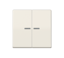 Клавиша для KNX кнопки, 2 группы с окошком; дюропласт; слоновая кость  AS102KO5  Jung