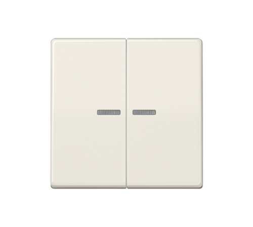 Клавиша для KNX кнопки, 2 группы с окошком; дюропласт; слоновая кость  AS102KO5  Jung