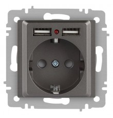 Розетка Intro Accent 6-410-09 P+E Schuko со шторками, 16А-250В + 2хUSB, IP20, СУ, титан  Б0063711  Intro