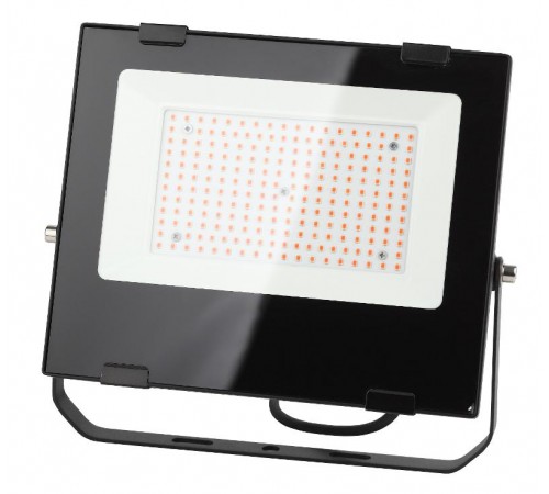 Прожектор светодиодный фито для растений красно-синий спектр FITO-100W-RB-LED  Б0046369  ЭРА