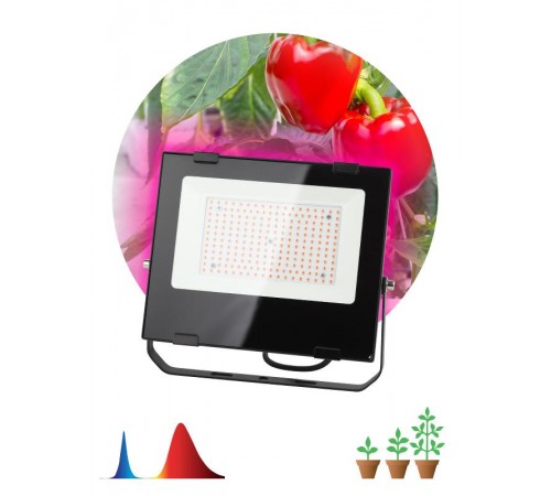 Прожектор светодиодный фито для растений красно-синий спектр FITO-100W-RB-LED  Б0046369  ЭРА