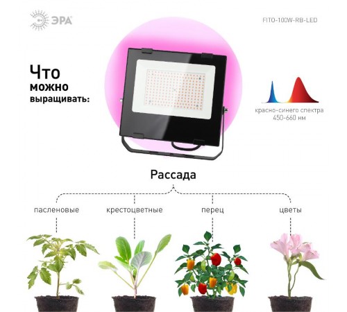 Прожектор светодиодный фито для растений красно-синий спектр FITO-100W-RB-LED  Б0046369  ЭРА