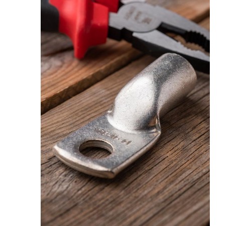 Наконечник медный луженый ТМЛ 185-16-21 EKF PROxima  tml-185-16-21-g  EKF