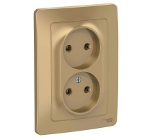 Blanca Титан С/У Розетка 2-ая без заземления без шторок, 16А, 250В  BLNRS000024  SE