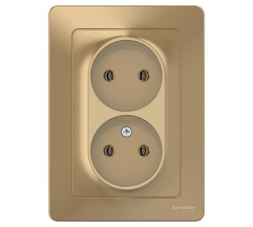 Blanca Титан С/У Розетка 2-ая без заземления без шторок, 16А, 250В  BLNRS000024  SE