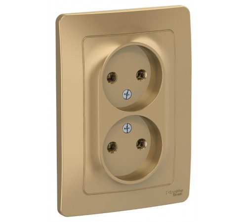 Blanca Титан С/У Розетка 2-ая без заземления без шторок, 16А, 250В  BLNRS000024  SE