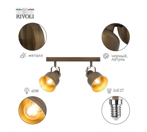 Светильник настенно-потолочный спот Inessa 7035-702 2 х Е27 40 Вт поворотный  Б0052448  Rivoli