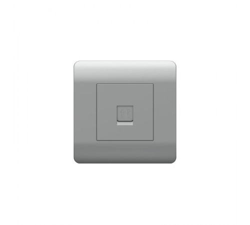 Розетка телефонная 1xRJ11, серебряный(NEW3-E)  431415  CHINT