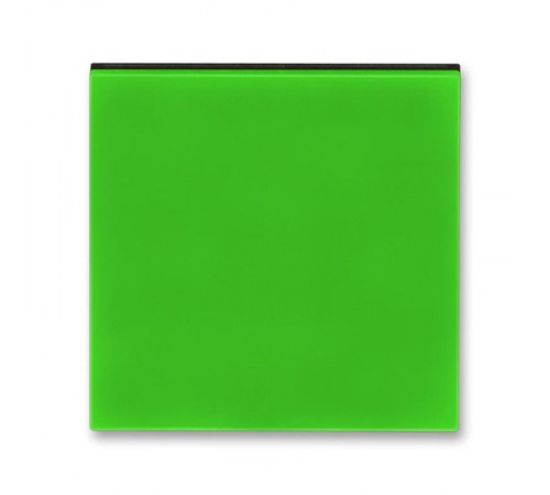 ABB Levit Зелёный / дымчатый чёрный Управляющий элемент для светорегулятора клавишного  3299H-A00100 67  2CHH700100A4067  ABB