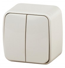 3-104-02 Intro Выключатель двойной, 10А-250В, IP20, ОУ, Polo, сл.кость  Б0036121  Intro